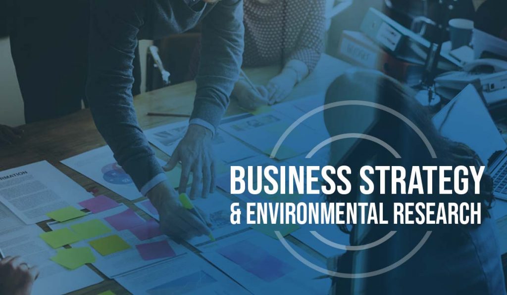 business strategy and environmental research
