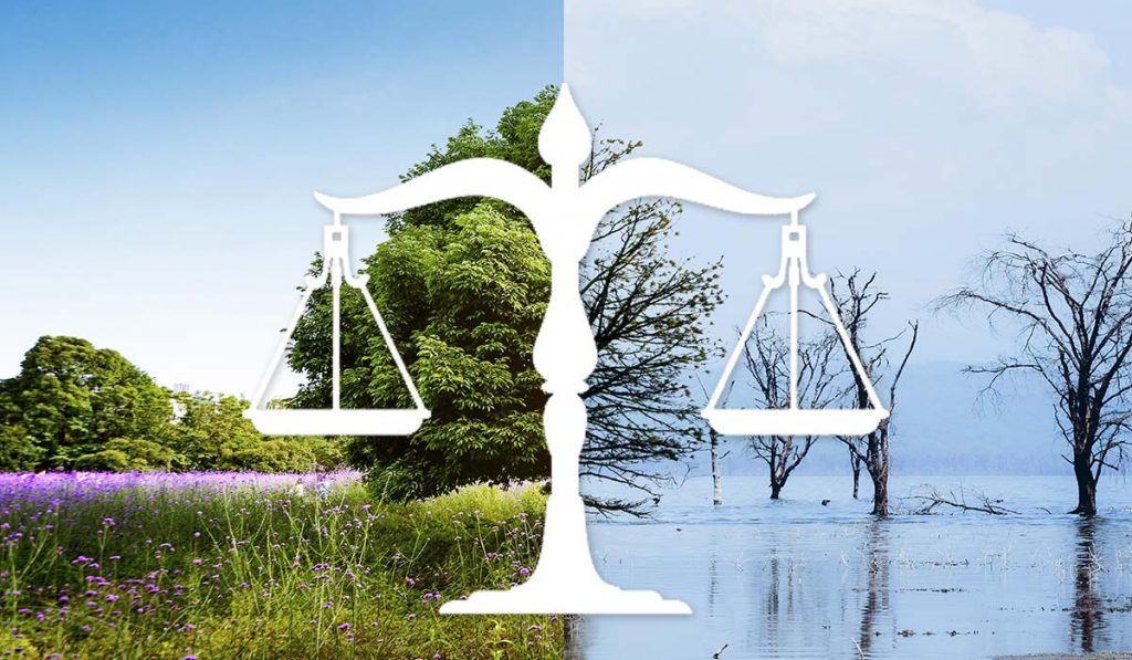 Climate Change Litigation