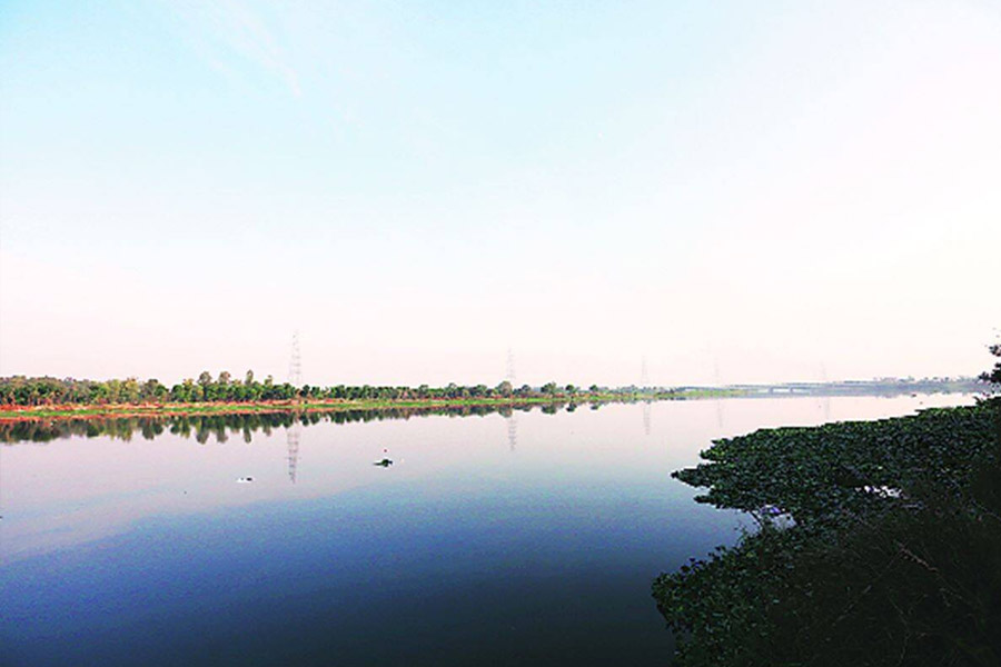 Urban floodplains must become biodiversity parks