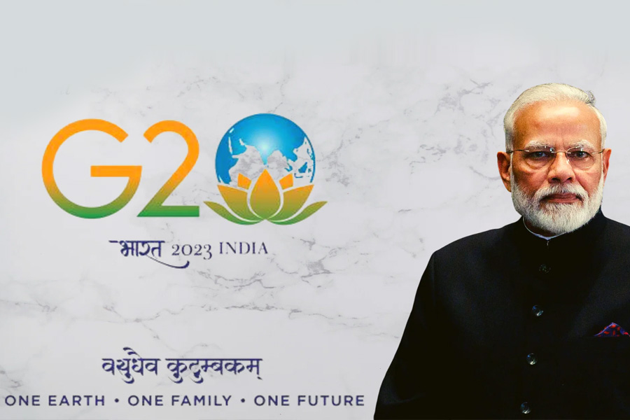 G20 Symbol and Political Debate in India