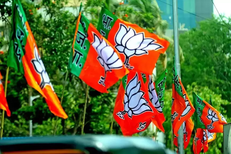 Candidate selection in India: Municipal elections and the Bharatiya Janata Party (BJP)