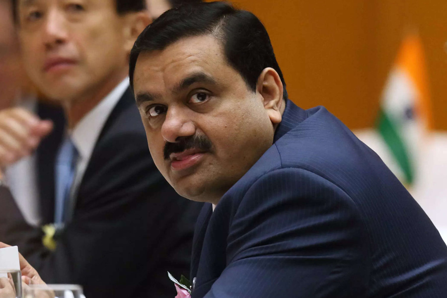 ‘National champion’ Adani beneficiary of favours
