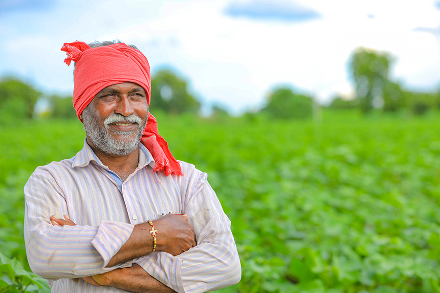 Farmers' Income and Food Security under Contemporary Policy Regime in India: Insights from Punjab