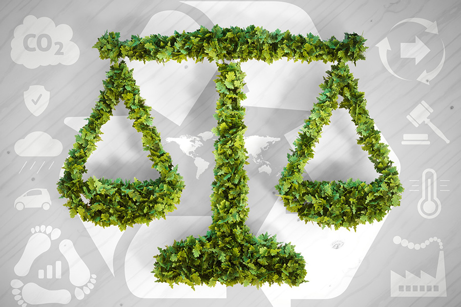 Constitutional and Judicial Interpretation of Environmental Laws in Nigeria, India and Canada
