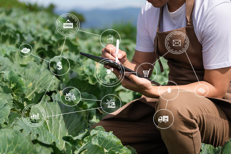 Exploring the application of ICTs in decarbonizing the agriculture supply chain: A literature review and research agenda