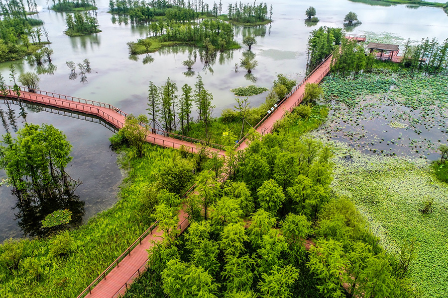 Evaluation of water footprint under Dalbergia sissoo+Emblica offcinalis-based agroforestry model