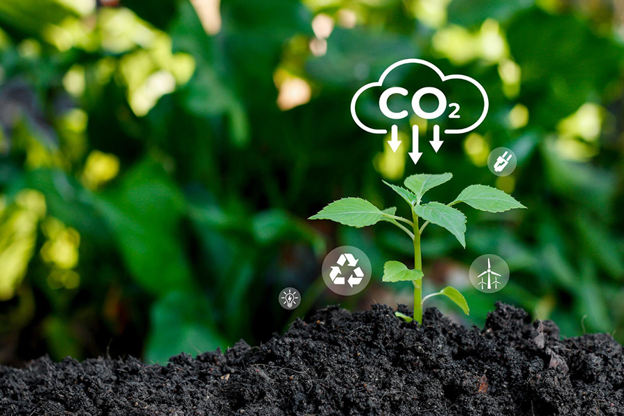 Understanding Carbon Neutrality: Insights from Social Media Analytics and Thematic Analysis