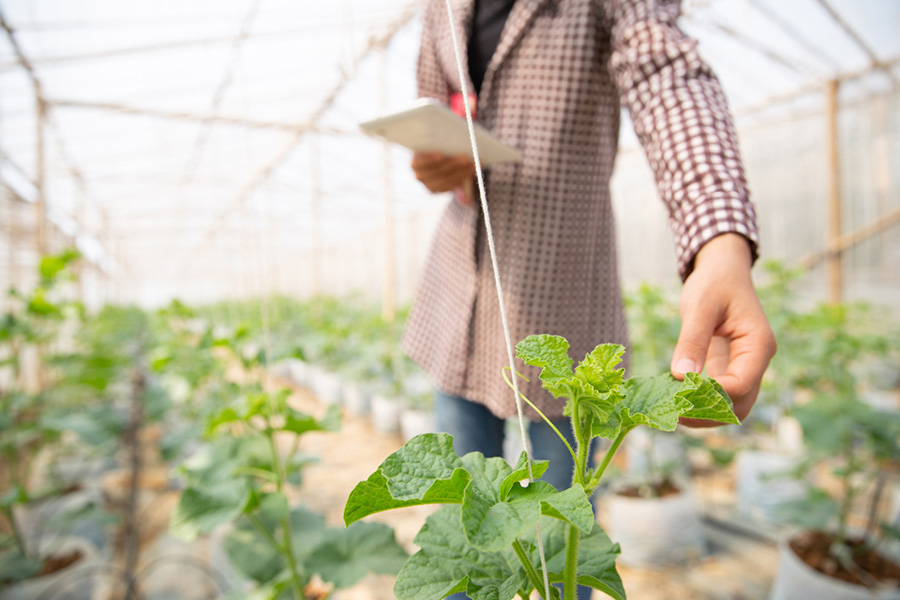 Implementing AI in agri-food supply chain security from the multi-stakeholder perspective: an exploratory review and future directions