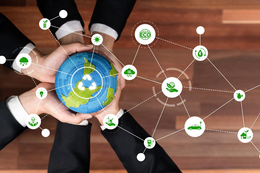 Sustainable Supply Chains and Digital Transformation
