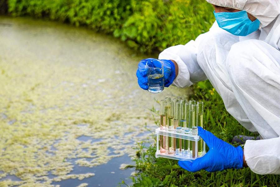 Boosting aquaculture resilience through biofloc-forming Bacteria: A comparative approach