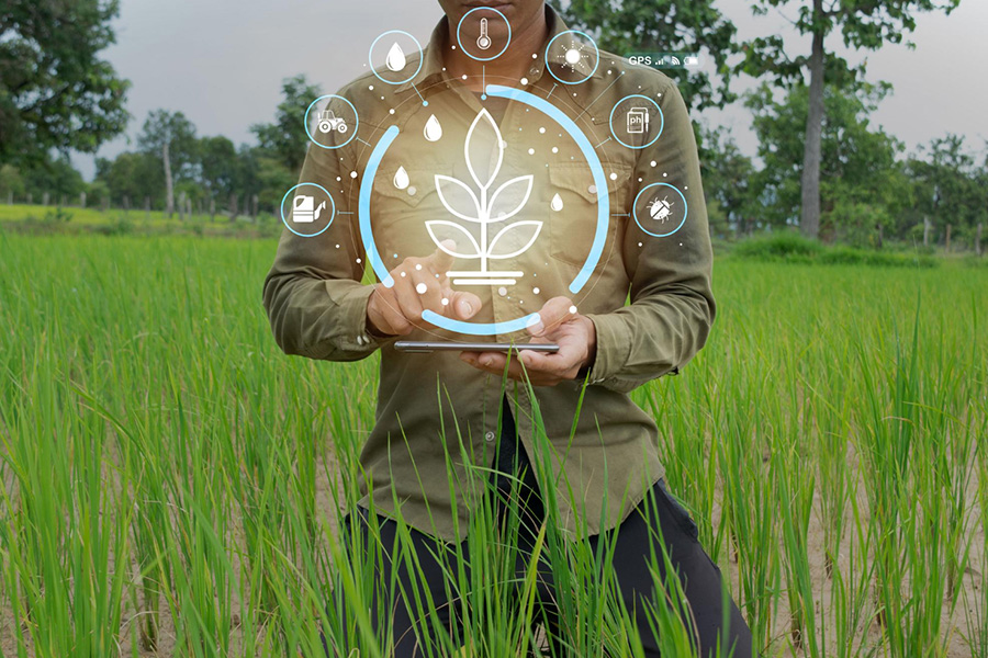 Determinants of adoption of organic conservation agriculture in rainfed Nimar region of Central India