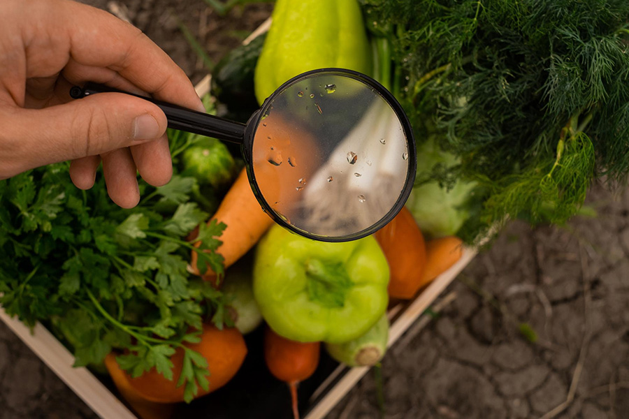 Integrative Forensic Methods in Food Contaminant Detection and Identification